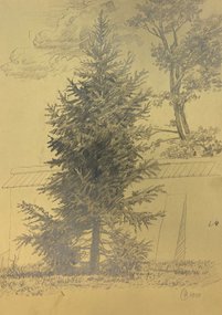 Деревья (2009, бум.кар., 29x21, арт. 42К.00015) - 1 700 ₽