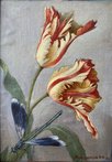 Тюльпаны (2023, х.к.м., 30x21, арт. 26.028) - 8 500 ₽