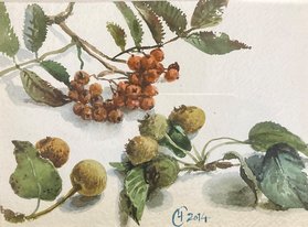 Ягоды (2014, б.акв., 14x19, арт. 42К.012) - 5 100 ₽