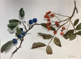 Терн и рябина (2022, б.акв., 22x30, арт. 42К.62) - 5 100 ₽