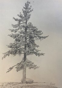 Ель (год не указан, бум.кар., 29x20, арт. 42К.0003) - 1 700 ₽