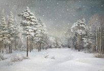 Снегопад (2009, х.м., 55x80, арт. Ас.01) - 25 000 ₽