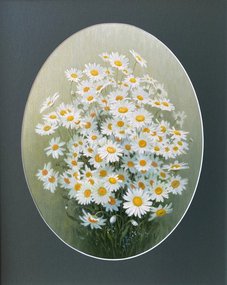 ромашки (2023, х.м., 41x33, арт. 105К.17) - 14 000 ₽