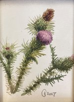 Колючки (2017, б.акв., 11x9, арт. 42К.07) - 5 100 ₽